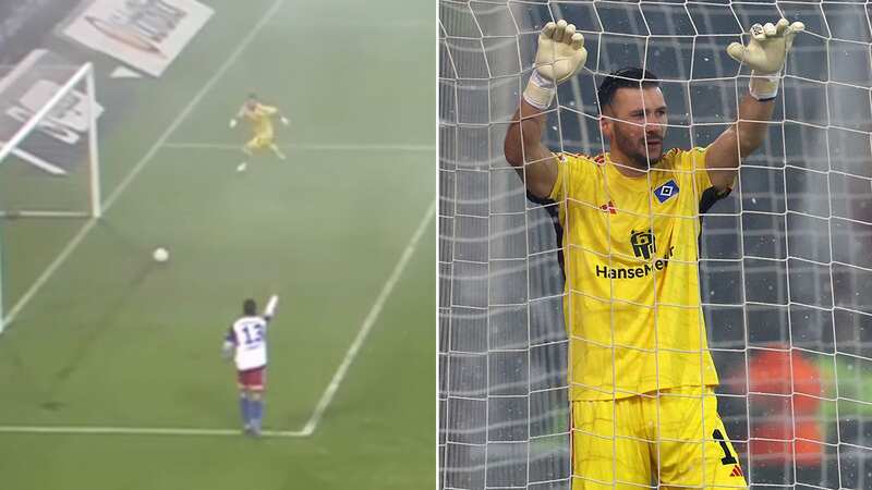 Daniel Heuer Fernandes scored this own goal for Hamburg (Image: Sky Sports)