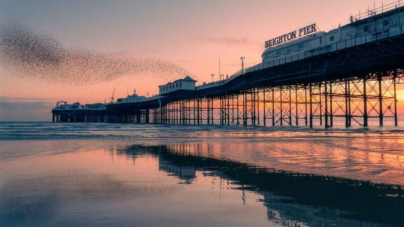 A starling murmuration reflection against beautiful twilight colours next to the Brighton Palace Pier in East Sussex (Image: Mediadrumimages/Lloyd Lane)