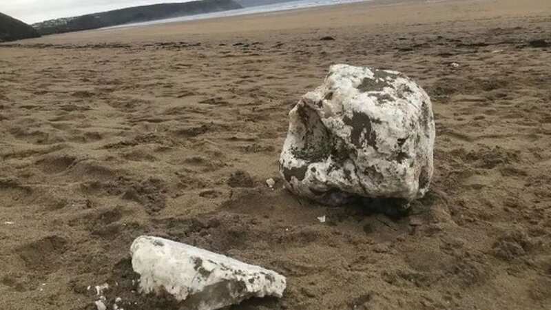 The lumps of palm oil on the beach, which can be deadly to dogs (Image: Submitted)