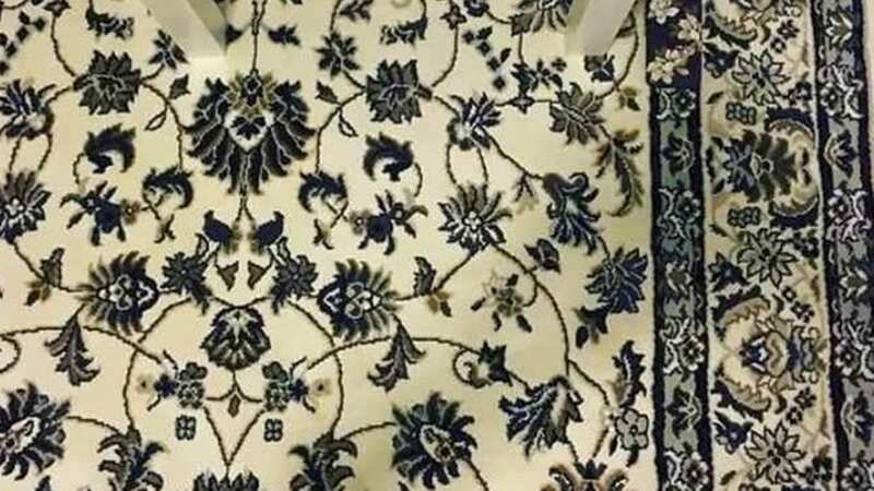 You have just nine seconds to spot it (Image: Jeya May Cruz)