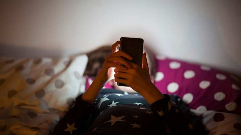 An increasing number of young people have been watching or sharing child abuse material online, police forces said (Stock photo) (Image: Getty Images)