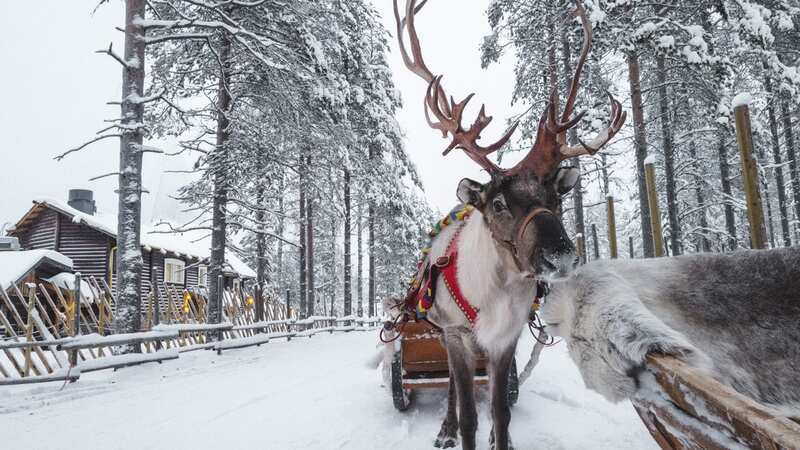 Travelling to Lapland to meet Santa has topped a list of dream Christmas travel experiences for Brits (Image: Lingxiao Xie/Getty Images)