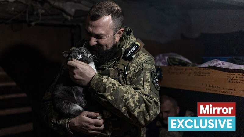 A Ukrainian soldier petting a cat in a trench in Donetsk Oblast (Image: Anadolu via Getty Images)