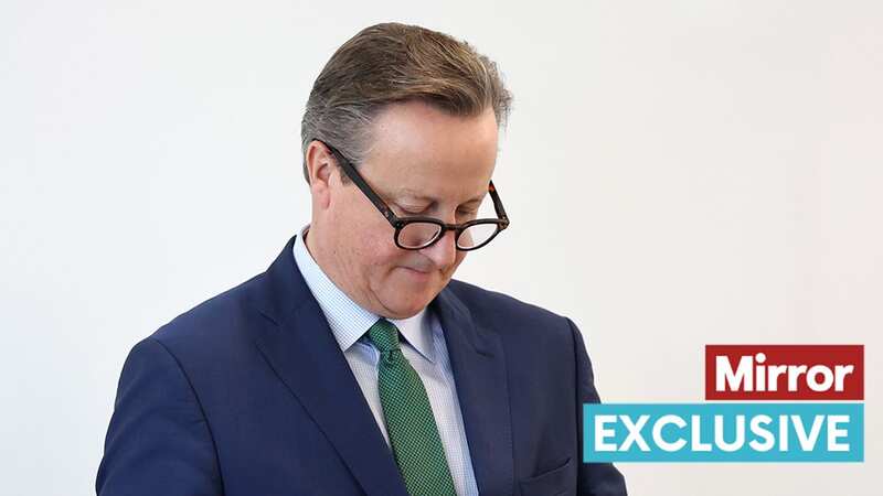 David Cameron worked as an adviser to Greensill Capital before it went bust (Image: Getty Images)
