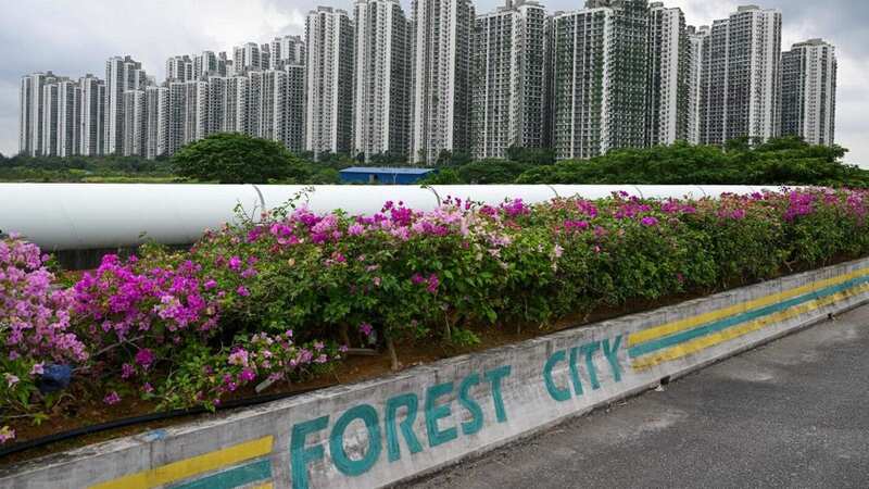 Forest City, in Malaysia, was supposed to be a dream city - but some locals couldn