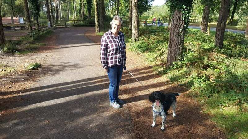 Sarah Blaylock was left with horrific leg injuries after being attacked by two dogs (Image: DAILY POST WALES)