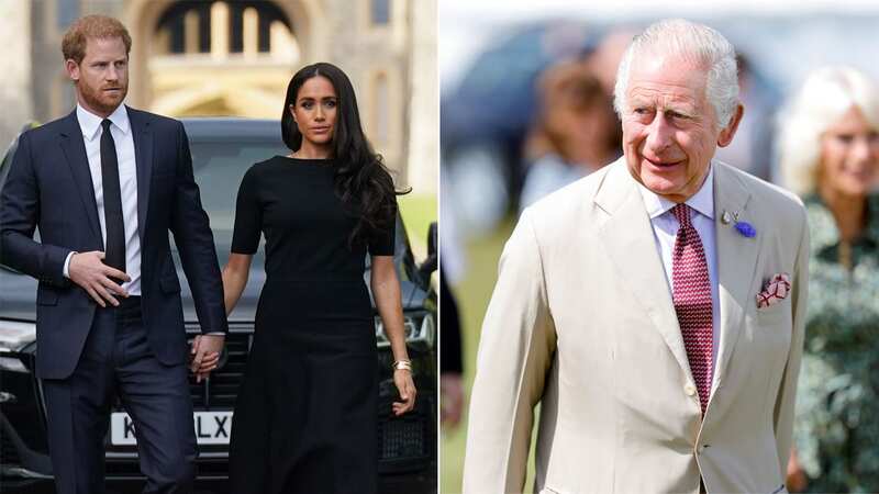 Harry and Meghan 