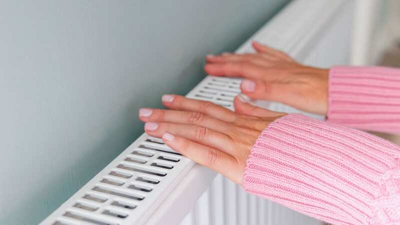Cold Weather Payments are triggered in freezing conditions (Image: Getty Images)