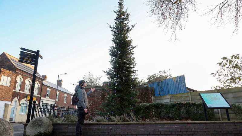 The "beanstalk" tree has been installed in Willenhall, West Midlands by Walsall council (Image: No credit)