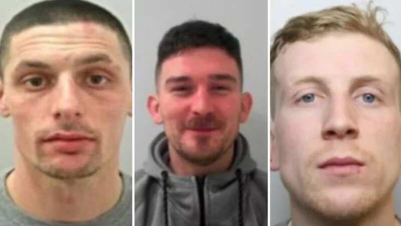 Marley Hollinhs, Kyle Smith and Thomas Scott have all been sentenced (Image: British Transport Police)
