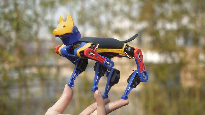 I build my own robot pet - and it really wasn