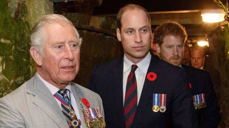 The King and the Prince of Wales are said to be divided over Prince Harry