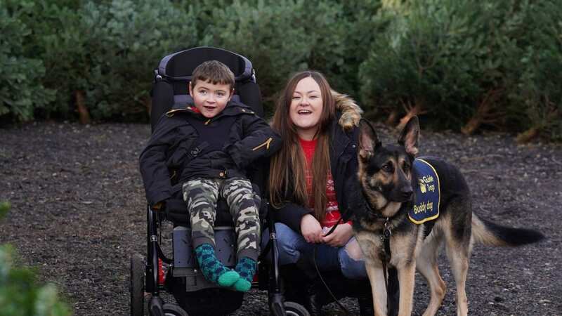 The Dodd-Moore family from Northumberland celebrate their first Christmas with Buddy, a German Shepherd buddy dog from the charity Guide Dogs (Image: PA Media)
