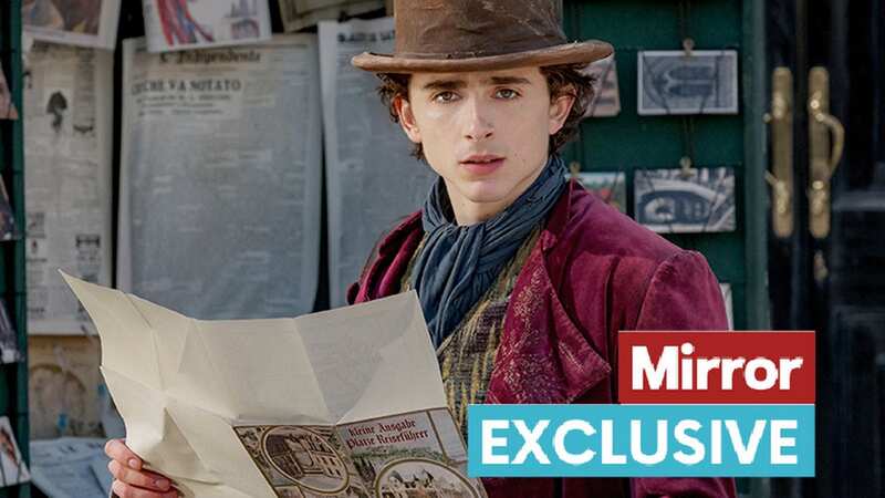Timothée Chalamet stars as Willy Wonka (Image: DAILY MIRROR)