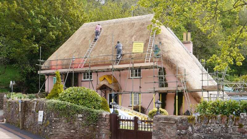 The traditional art of thatching a cottage in Cockington, Devon (Image: Cambridge News)