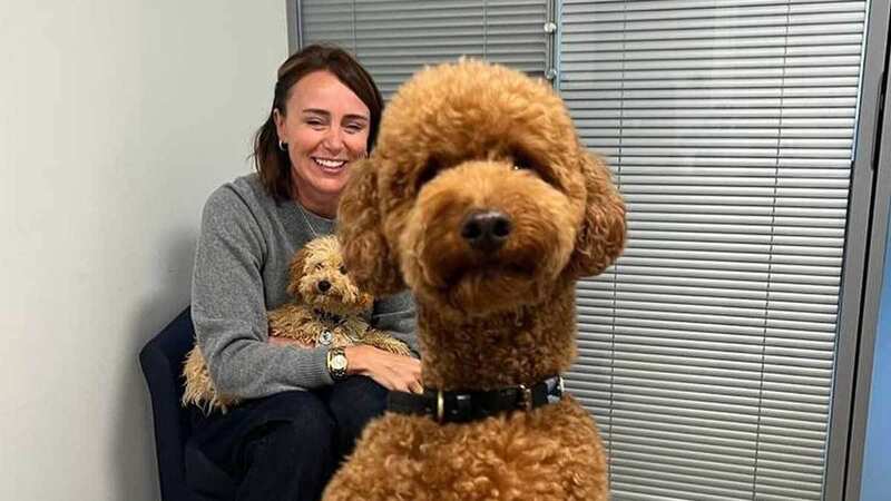 Keeley Hawes adopts a huge teddy bear dog with her famous husband