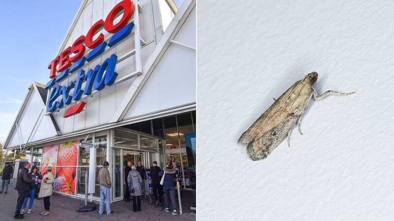 Tesco customers are being warned over Tesco Finest Apple & Cranberry Stuffing Mix, which may contain moths