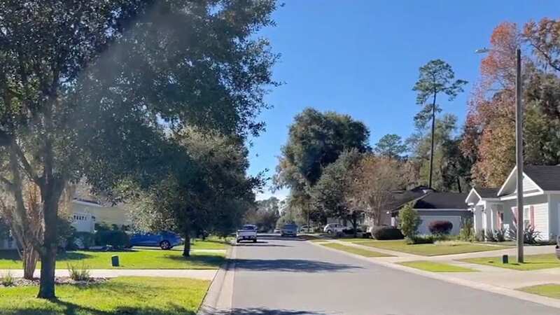 The couple lived in a quiet Florida suburb before being arrested (Image: WCJB)
