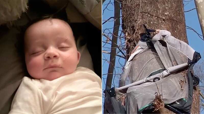Miracle as four-month-old sucked into raging tornado before being found in tree