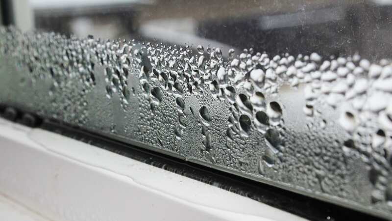 Condensation forming on windows is often the main cause of mould (Image: Getty Images/iStockphoto)