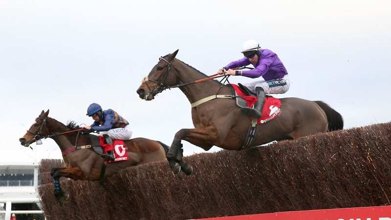 Fugitif and Gavin Sheehan won Cheltenham
