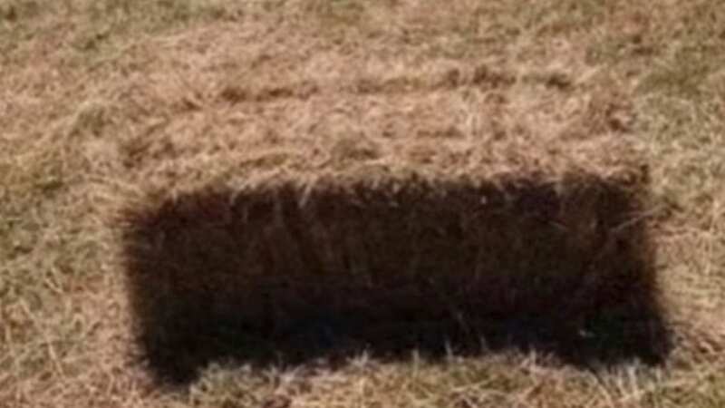 This baffling optical illusion drives people mad as they can