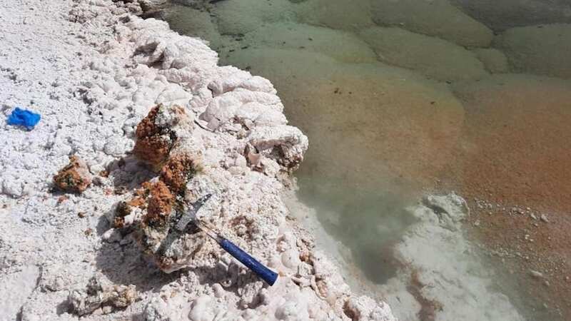 Stromatolites dating back 3.5 billion years have been found lurking in Argentina