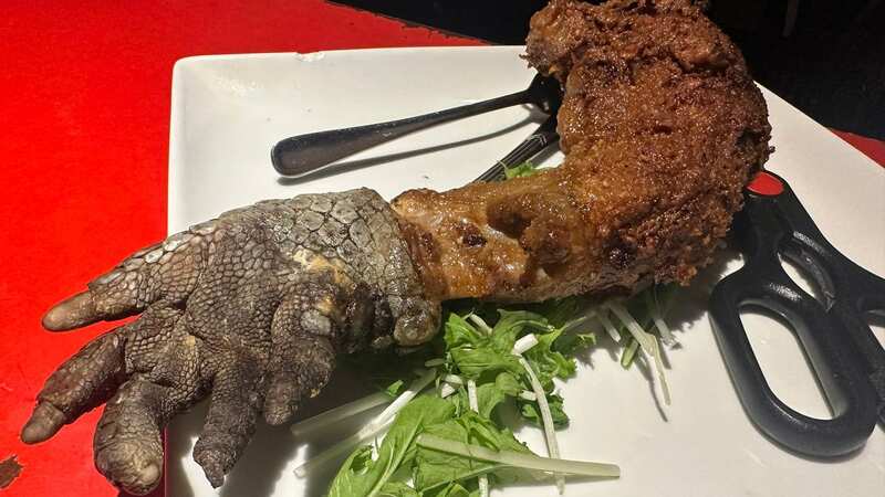 Grilled crocodile leg on sale at the Chinju-ya in Yokohama, Japan (Image: Jam Press)