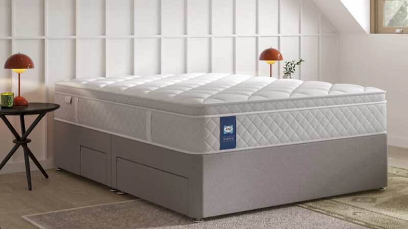 A Sealy mattress