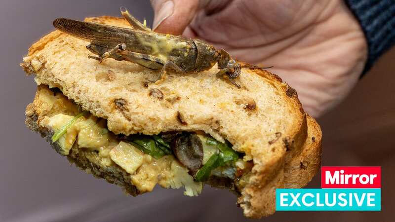 The locust Phil Hall discovered inside the salad on top of his coronation chicken sandwich (Image: Peter Barron Media)