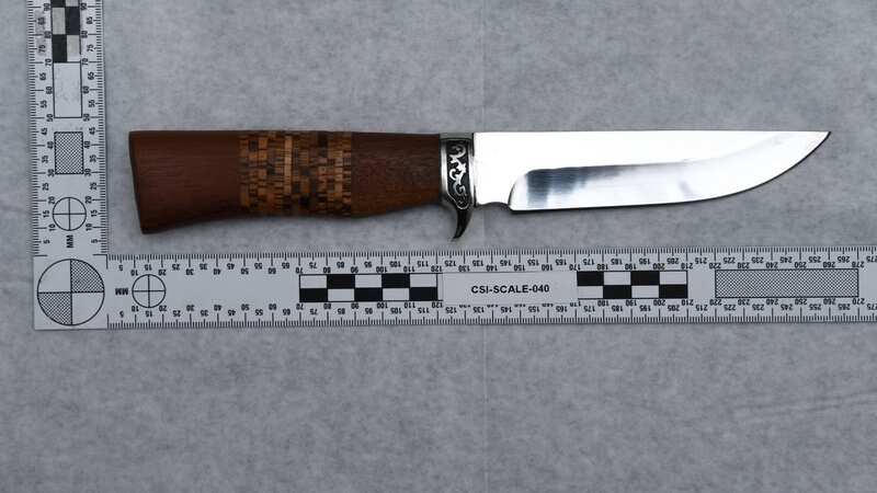 Cheshire Police released this image of the murder weapon (Image: PA)