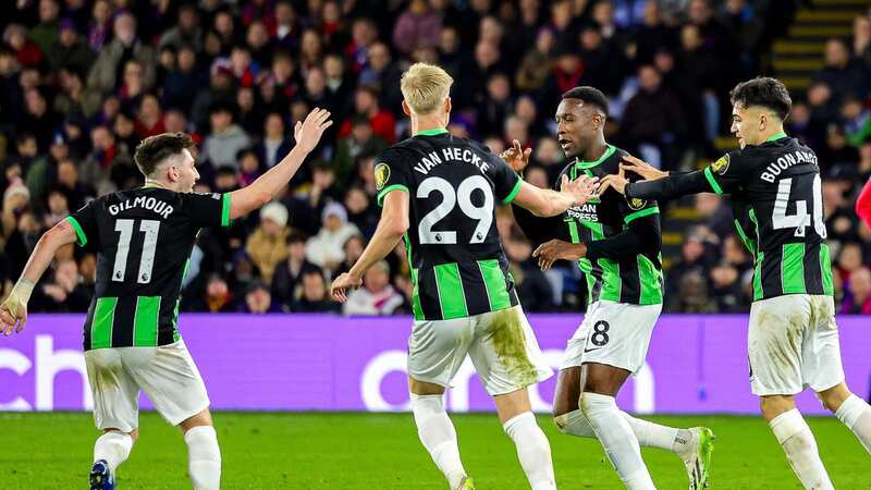 Brighton celebrate Danny Welbeck