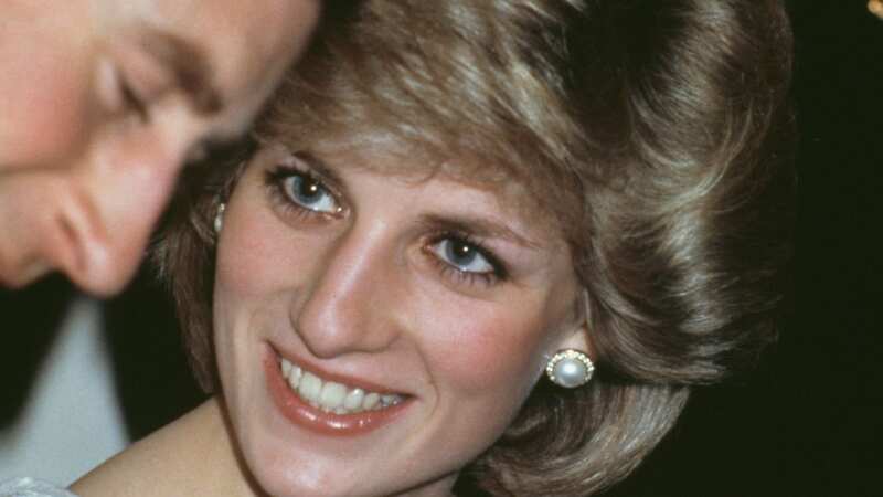 Diana was reportedly "very bitter" and felt like she was being made the joke (Image: Getty Images)
