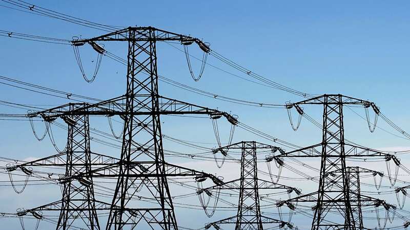 UK Power Networks have said that the power cut was caused by an underground electricity cable fault on the high voltage network (Image: PA)