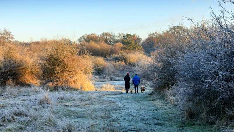 A couple enjoy a winter walk with their dog (Image: National Trust library)