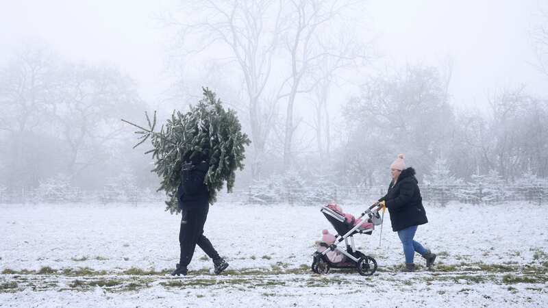 The Met Office has confirmed today IS a white Christmas (Image: Getty Images)