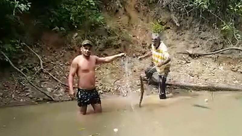 Fisherman zapped into water by electric eel after grabbing fish with bare hands