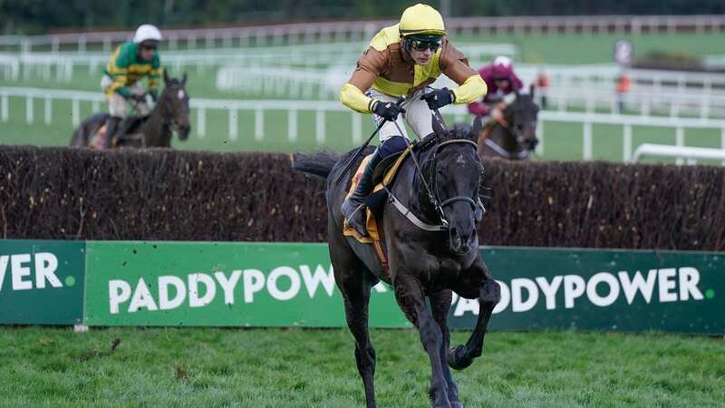 Galopin Des Champs finished well clear in the Savills Chase at Leopardstown Racecourse (Image: Getty Images)
