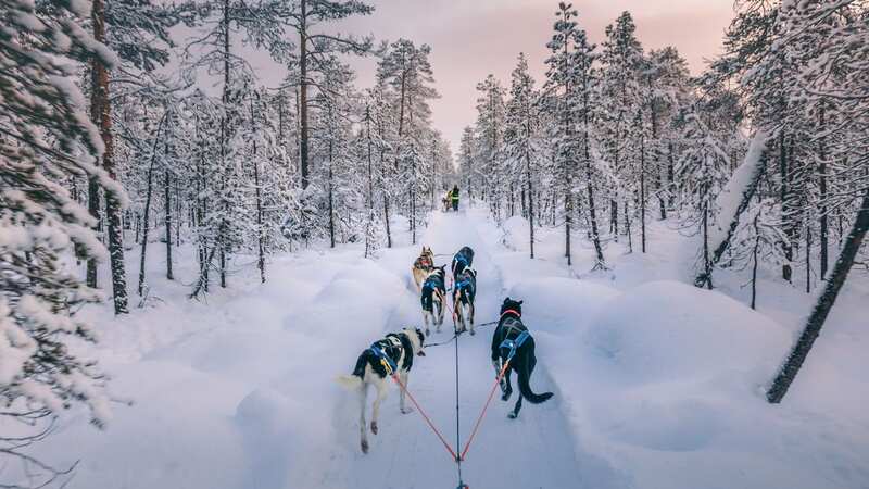 Inari may be the place to go (Image: Getty Images)