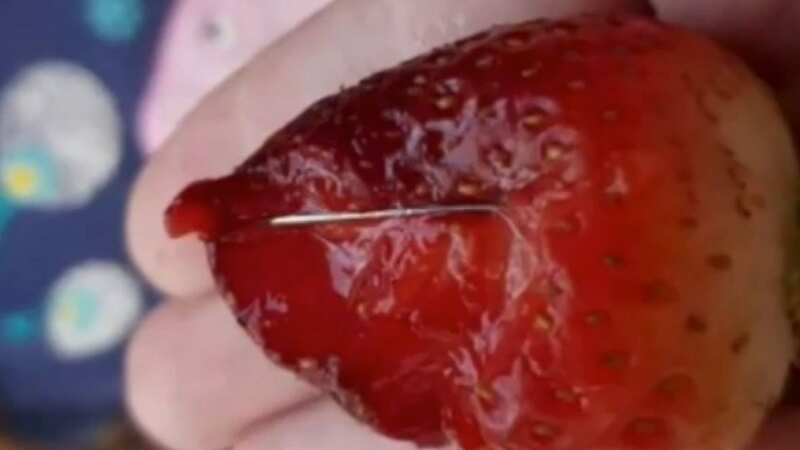 One of the contaminated strawberries hiding a small needle (Image: 9 News)