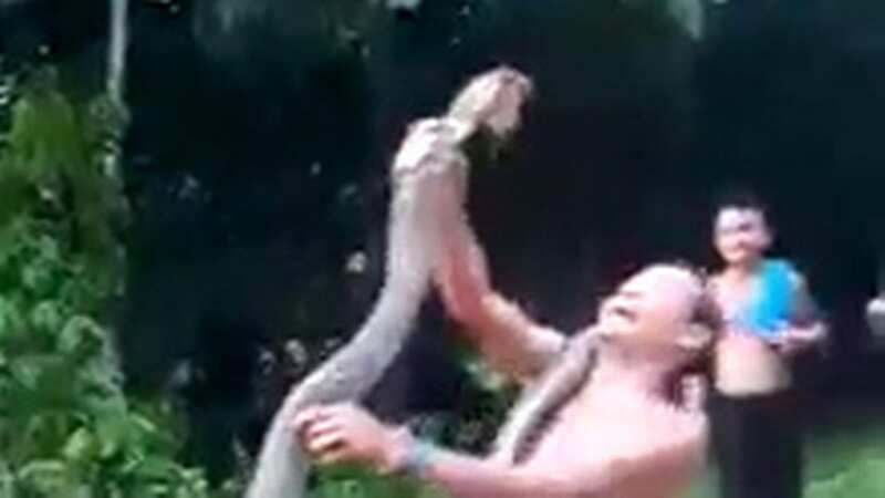 Snake charmer killed by king cobra after trying to show off 