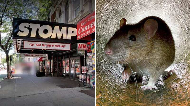 The Orpheum Theatre in New York was plagued with rats, according to customers (Image: Google Maps)