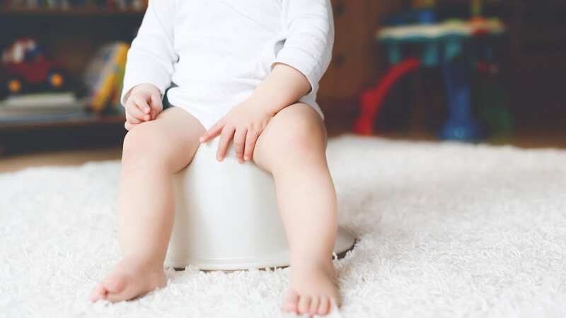 Genius Mum applauded as she uses Amazon Alexa to help son potty training journey (Image: Getty Images/iStockphoto)