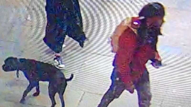 CCTV images showed the confrontation unfolding (Image: City of London Police / SWNS)