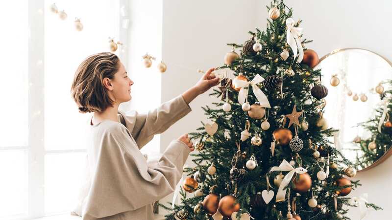 You should take your Christmas tree down this week (stock photo) (Image: Getty Images)