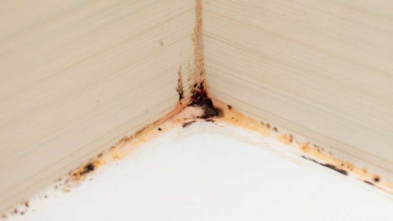 You can clean sealant mould with one 35p item (Image: Getty Images/iStockphoto)