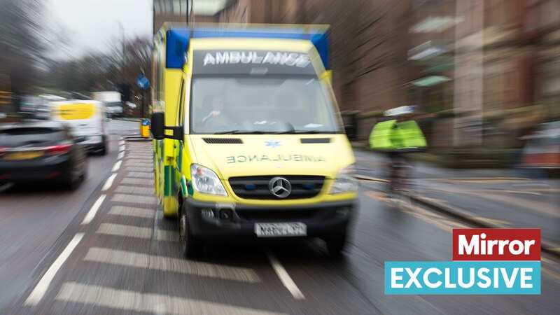 Hundreds of thousands of 999 calls are not being attended by a fully-trained paramedic due to staff shortages, their union has warned (Image: MDM)