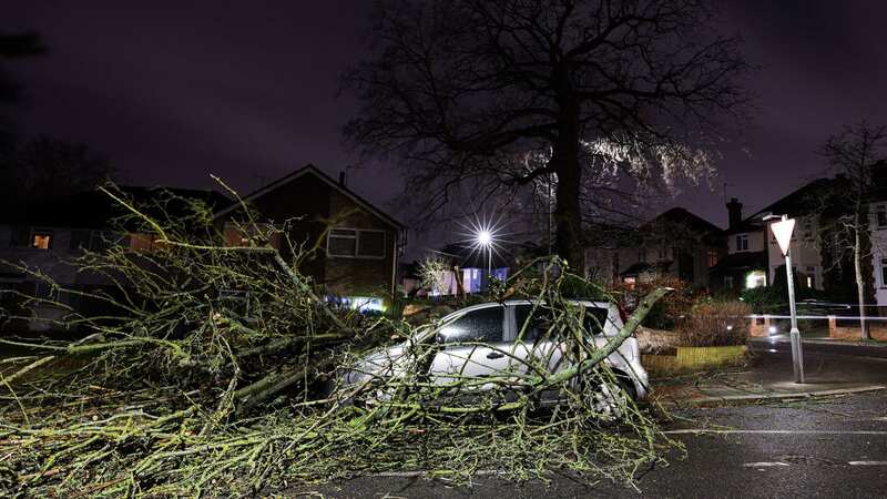 A tree blown over by the wind and landed on a car on Beckenham Grove, Bromley (Image: PA)