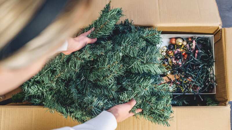 How do you take your Christmas tree down? (Stock Image) (Image: Getty Images)