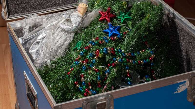 The easy trick takes the hassle out of putting the tree away (Stock Photo) (Image: Getty Images/iStockphoto)